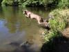 Heiko jumps